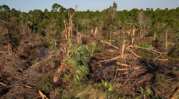 agricultural production losses