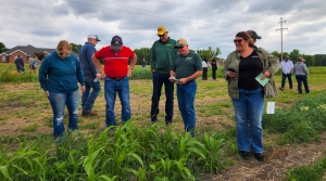 North Central Research Extension Center field day