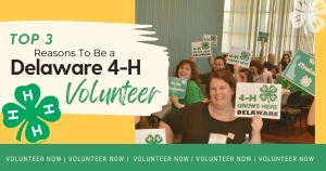 DELAWARE 4-H VOLUNTEER