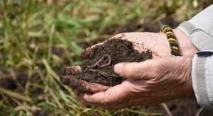 soil soil health carbon sequestration (USDA NRCS Montana, Public Domain)