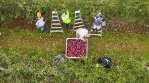 Farm Laborers Fair Labor Practices Act