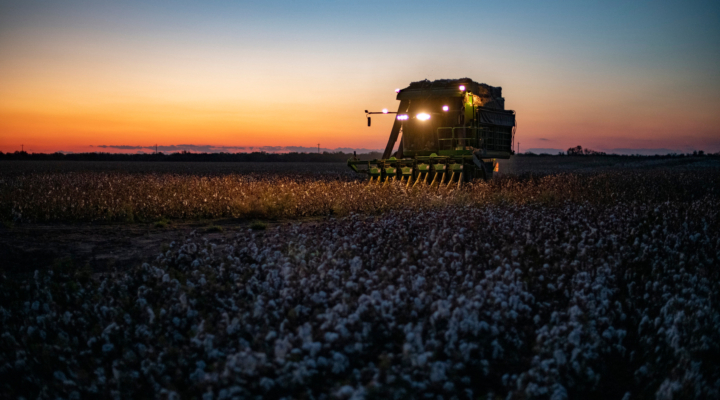 Cotton Board Appointments