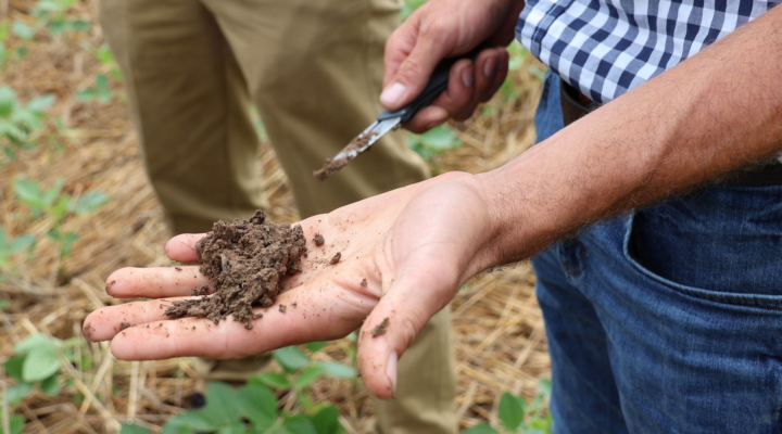 Regenerative Agriculture