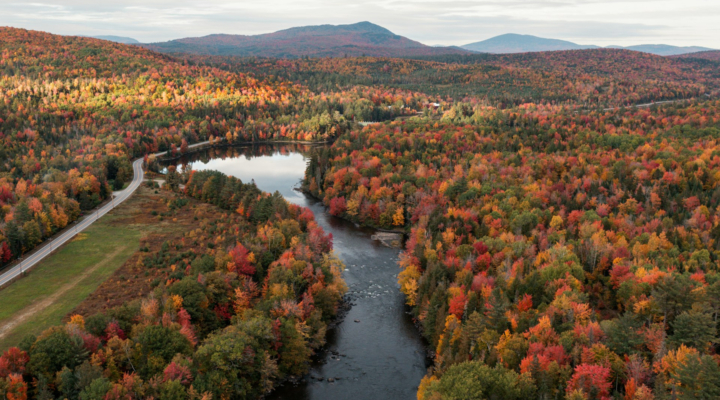 Vermont Forestry Services, Private Forestland