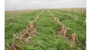 4R Plus, Nutrient Stewardship Field Day, conservation practices into a land lease