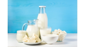 Dairy Food Safety