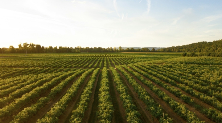 Taste of Maryland Agriculture