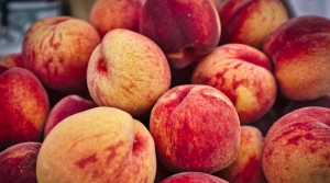 Stone Fruit Coatings