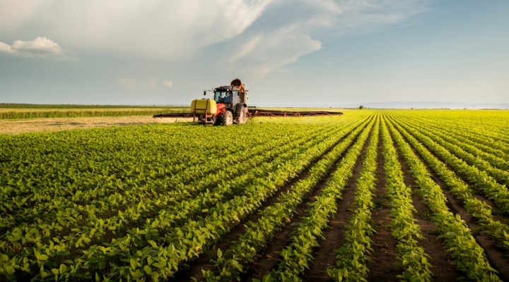 Green Fertilizer