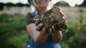 The Soil Inventory Project