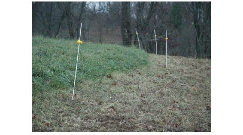 stockpiled grass