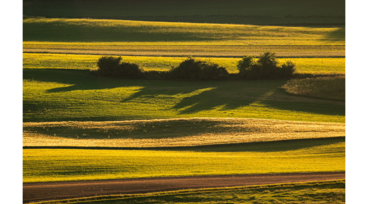 webinar land management