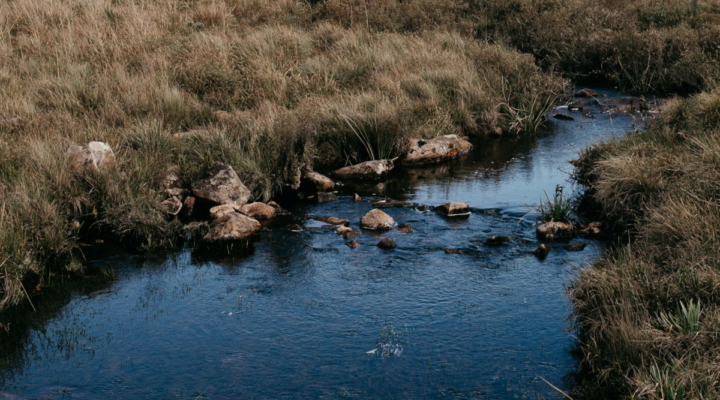 Water Quality Grants