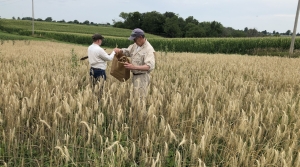 organic field day