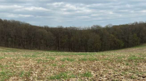 Farmland Preservation