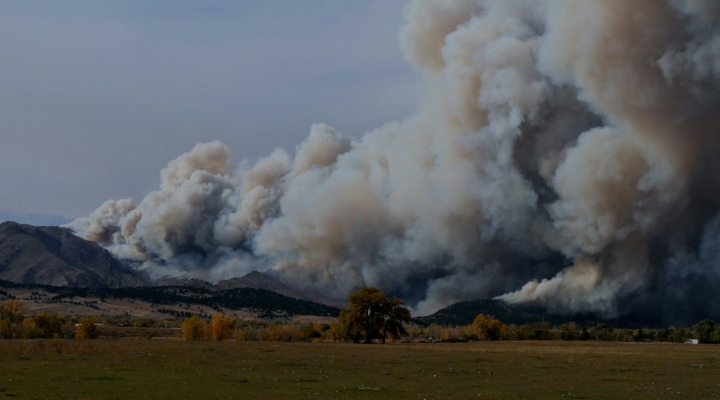 Recover from Wildfires, wildfire season