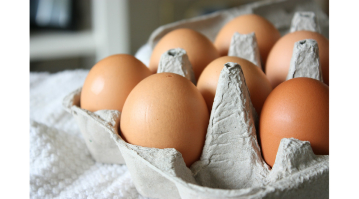 eggs cage-free rule requirements Colorado