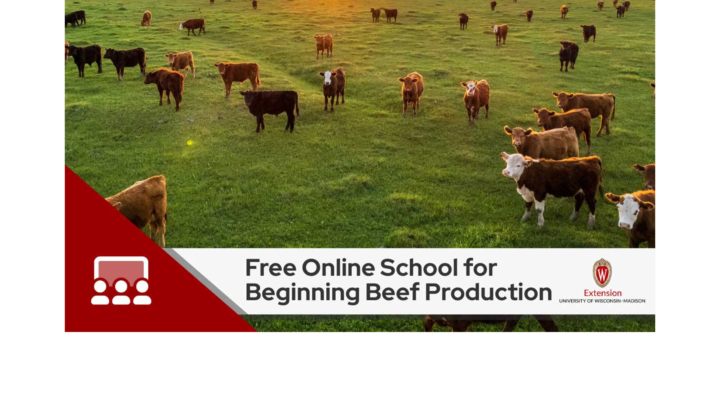 Beginning Beef Production