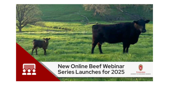 Beef Webinar Series