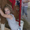 Ohio State Fair, fair season, Ohio fairs