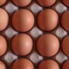 Recall Eggs, Ohio egg, Indiana eggs, American Egg Board