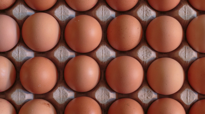 Recall Eggs, Ohio egg, Indiana eggs, American Egg Board