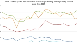 Timber Prices