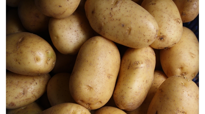 Minnesota potato production, Michigan Potato, Potato stocks, Michigan-grown potatoes, Wisconsin Potato Industry Board, Michigan potato growers