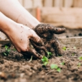 Gardening from the Ground Up