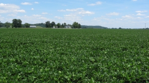 Kentucky crops, Kentuckiana Crop Production Seminar, Natural Asset Companies, producers, Indiana crop progress, Illinois crop progress