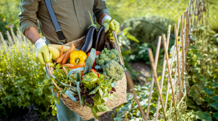 Consumer Trends in Organic Farming A Growing Demand for Health and Sustainability