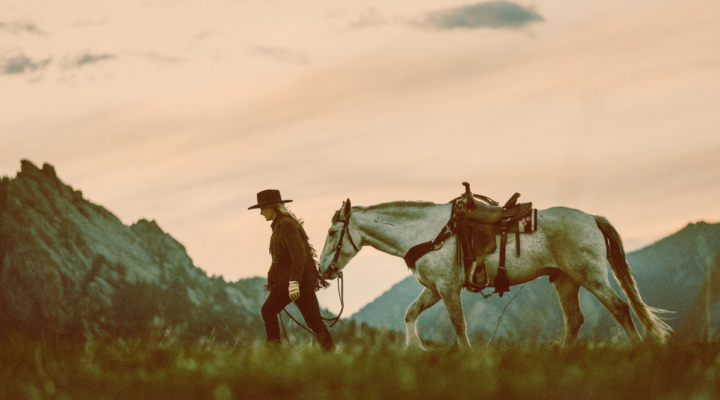 Galloping Through Time Inspiring History of Horse Farming