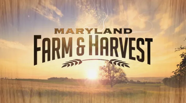 Maryland Farm & Harvest