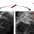 molecules carbon dioxide capture Oregon research