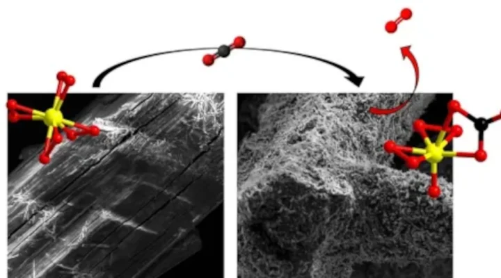 molecules carbon dioxide capture Oregon research